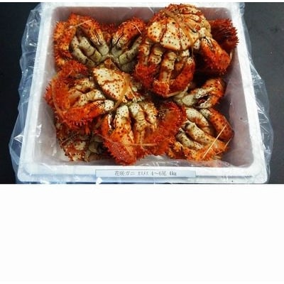 【北海道根室産】花咲ガニオスメス4～6尾(計4kg) D-57002