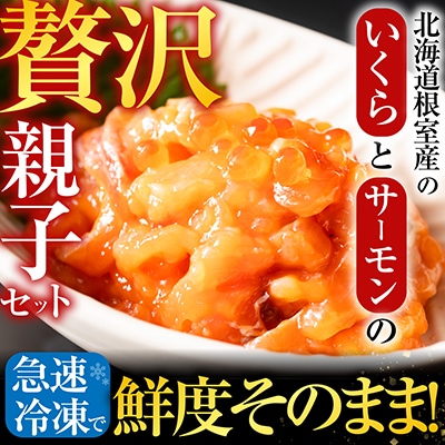 【北海道根室産】いくら・サーモン親子丼の具 A-42019