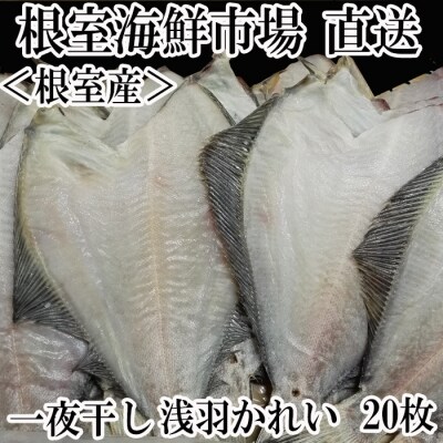 【北海道根室産】一夜干し浅羽がれい20枚 A-11059