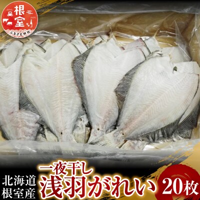 【北海道根室産】一夜干し浅羽がれい20枚 A-11059