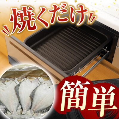 【北海道根室産】一夜干し浅羽がれい20枚 A-11059