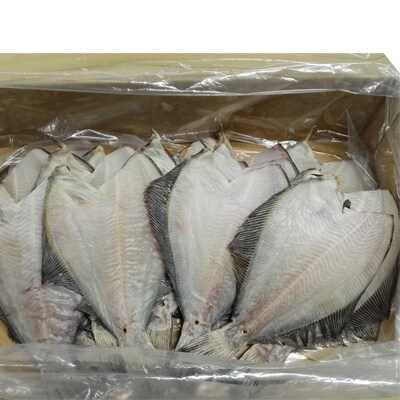 【北海道根室産】一夜干し浅羽がれい20枚 A-11059