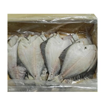 【北海道根室産】一夜干し浅羽がれい20枚 A-11059