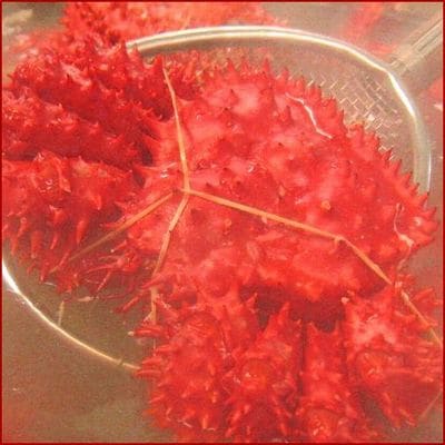 【北海道根室産】茹でたて花咲ガニ3.4kg詰合せ(チルド便) C-57007