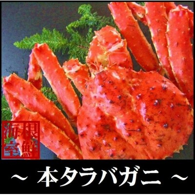 本タラバガニ1.0～1.2kg前後×1尾 C-57013