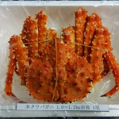 <12/21まで年内配送>本タラバガニ1.0～1.2kg前後×1尾 C-57013