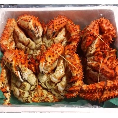 【北海道根室産】花咲ガニ2～3尾(チルド便) C-57014