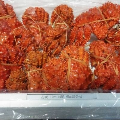 【北海道根室産】花咲ガニ10～14尾(計6kg) D-57001