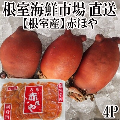 北海道根室産 お刺身用赤ほや むき身 5個 4p A お礼品詳細 ふるさと納税なら さとふる