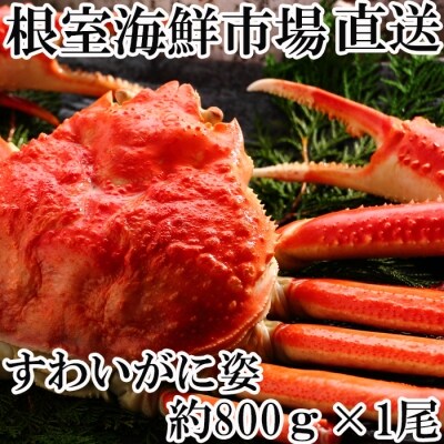 根室海鮮市場<直送>ボイル本ズワイガニ姿約800g×1尾 A-28213