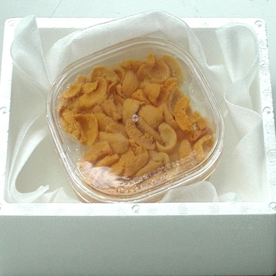 【年内配送可】エゾバフンウニ(黄色)塩水P100～110g C-56019