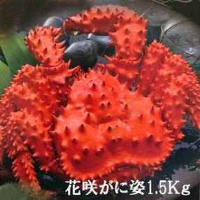根室市 花咲ガニ の検索結果 ふるさと納税サイト さとふる