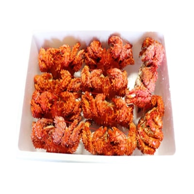 【北海道根室産】花咲かに400～600g×10尾 D-36007