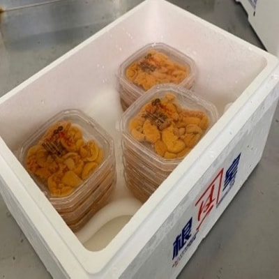 無添加塩水うに45g前後×7P C-60011