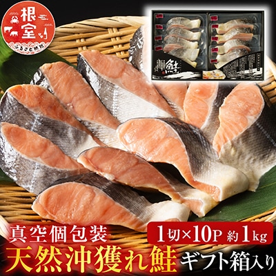 天然沖獲れ鮭1切×10P(約1kg) B-11060