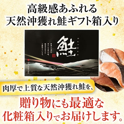 天然沖獲れ鮭1切×10P(約1kg) B-11060