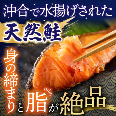 根室海鮮市場<直送>天然沖獲れ鮭1切×10P(約1kg) B-28060