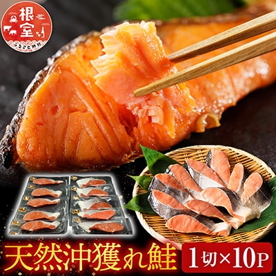 天然沖獲れ鮭1切×10P(約1kg) B-14062