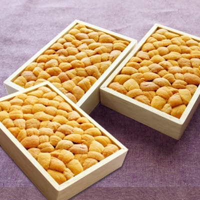 エゾバフンウニ150g×3折[5月中旬以降発送] F-40004