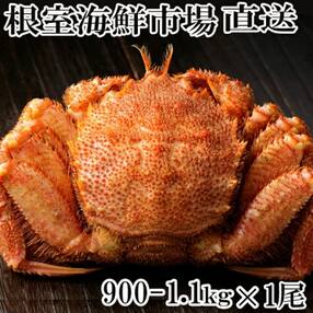 カニ 人気お礼品ランキング 週間 ふるさと納税サイト さとふる カニ 人気お礼品ランキング 週間 ふるさと納税サイト さとふる