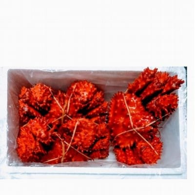 <12/21まで年内配送>★花咲ガニ410～500g×3尾 B-57017