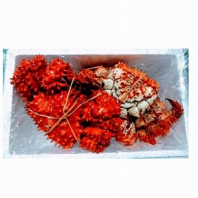 【北海道根室産】花咲ガニ2尾(計1.6kg前後) C-57018