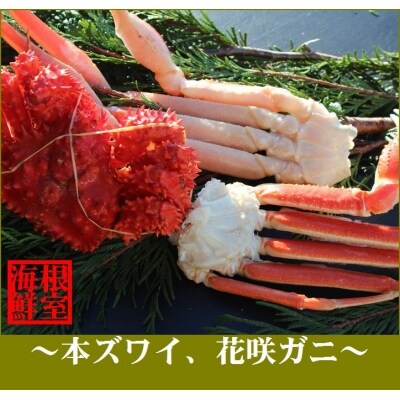 ズワイガニ1～2肩と花咲ガニ1～2尾セット A-57002