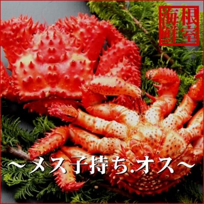 【北海道根室産】花咲ガニオス・メス(子持ち)各1尾(計1kg前後) C-57024