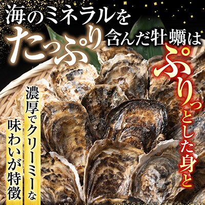 【北海道根室産】貝付き牡蠣40個[5月下旬以降発送] C-54008