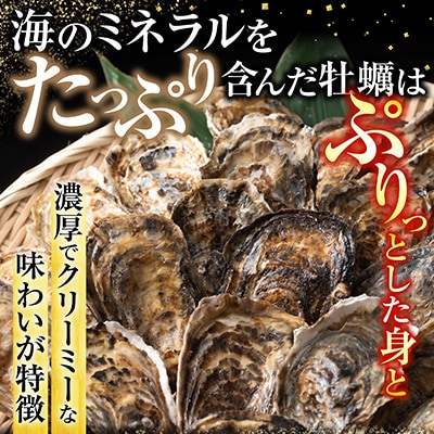 【北海道根室産】貝付き牡蠣40個 C-54008
