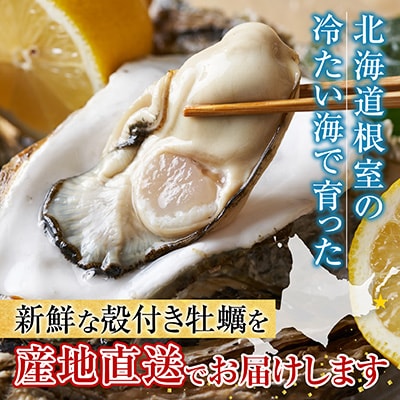 【北海道根室産】貝付き牡蠣80個 D-54008