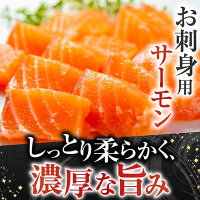 お刺身サーモン1.5kg&塩サーモンハラス1.1kg B-09027