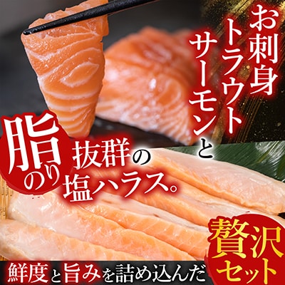 <12/14まで年内配送>お刺身サーモン1.5kg&塩サーモンハラス2.2kg C-09015