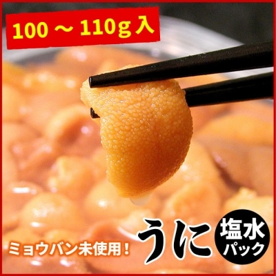 エゾバフンウニ(黄色)塩水P100～110g[10月下旬以降発送] C-07021