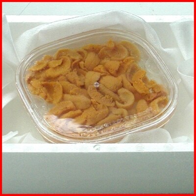 【年内配送可】エゾバフンウニ(黄色)塩水P100～110g C-07021