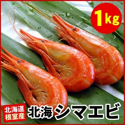 北海道根室産 北海シマエビ1kg 160 180尾 A お礼品詳細 ふるさと納税なら さとふる
