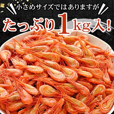 【北海道根室産】北海シマエビ1kg(160～180尾) A-56014