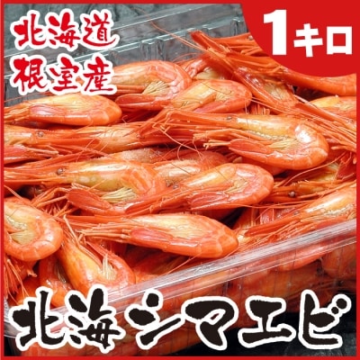 【北海道根室産】北海シマエビ1kg(160～180尾) A-56014