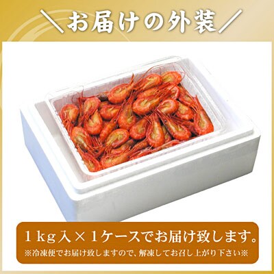 【北海道根室産】北海シマエビ1kg(160～180尾) A-56014