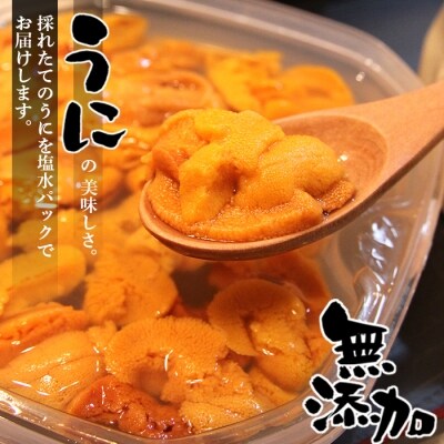 塩水ウニ100g×2P B-90009