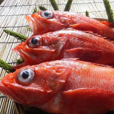 【北海道根室産】キンキ(下ごしらえ済)×6尾 A-72009