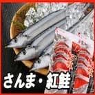 甘塩紅鮭5切×2P、冷凍生さんま5尾×2P A-30017