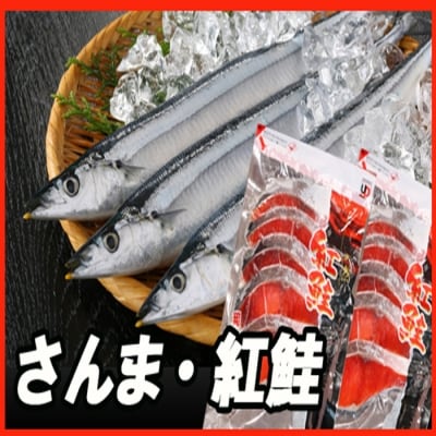 甘塩紅鮭5切×2P、冷凍生さんま5尾×2P A-30017