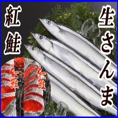 甘塩紅鮭5切×4P、冷凍生さんま5尾×4Pセット C-36015