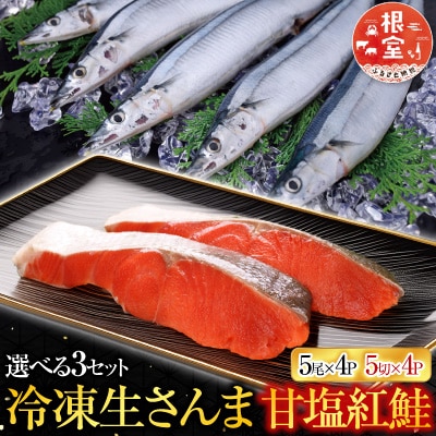 甘塩紅鮭5切×4P・冷凍生さんま5尾入×4Pセット C-70015