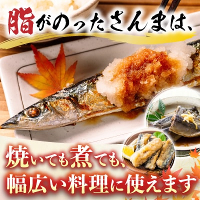 甘塩紅鮭5切×4P、冷凍生さんま5尾×4Pセット C-30015