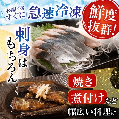 冷凍生さんま5尾×5P、ほたて貝柱200g×2P C-30038