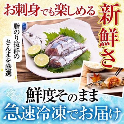 甘塩紅鮭5切×2P、冷凍生さんま5尾×2P A-36017