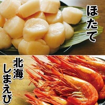お刺身用ほたて貝柱1kg 北海しまえび500g B お礼品詳細 ふるさと納税なら さとふる
