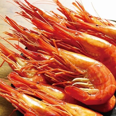 お刺身用ほたて貝柱1kg 北海しまえび500g B お礼品詳細 ふるさと納税なら さとふる お刺身用ほたて貝柱1kg 北海しまえび500g B お礼品詳細 ふるさと納税なら さとふる